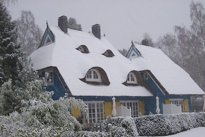 Huis met rieten dak Languste, Darß/Baltische Zee