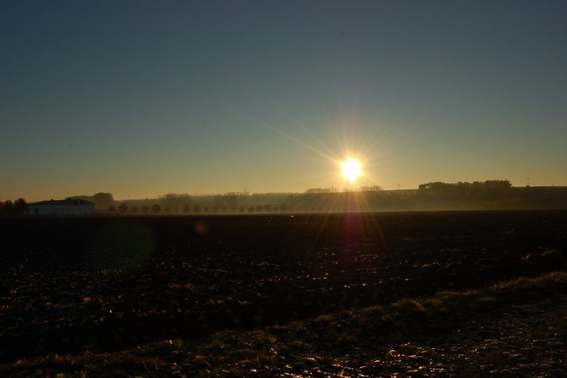Feld direkt hinter dem Grundstück bei Sonnenaufgang