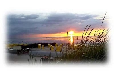 ***** Luxus Ferienhaus Watt`n Stern