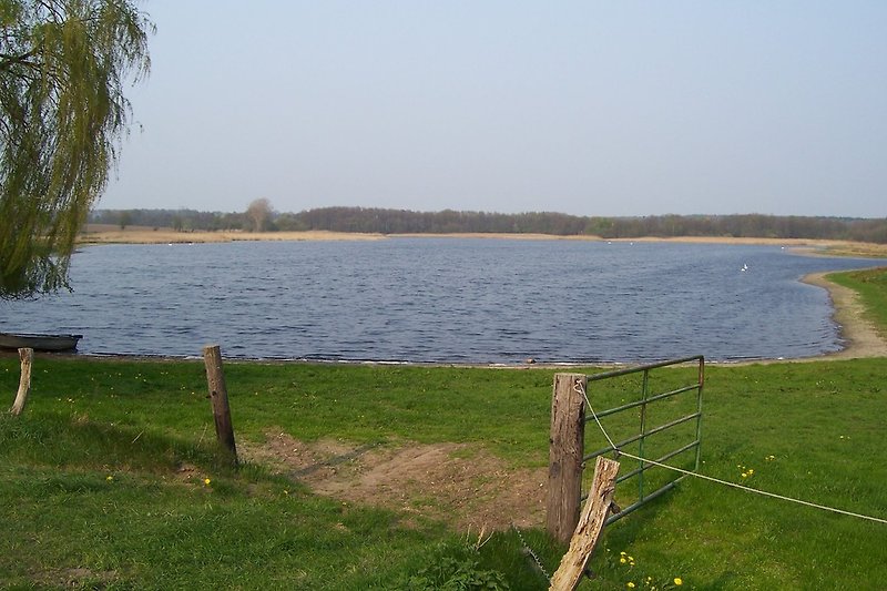 Der Lindhorster Teich vom Hof Lohmühle