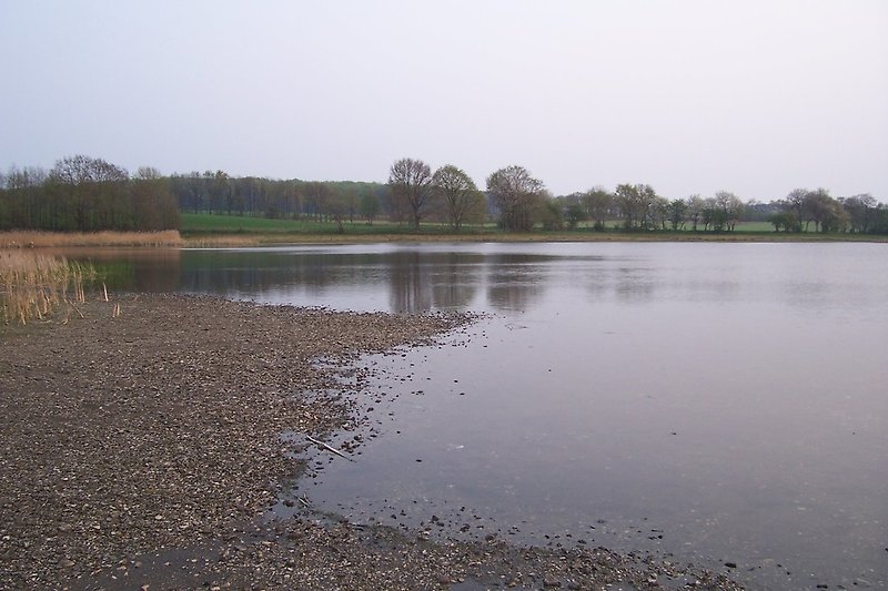 Lindhorster Teich im Herbst/Winter