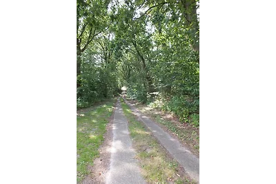 Das  außergewöhnliche Waldhaus