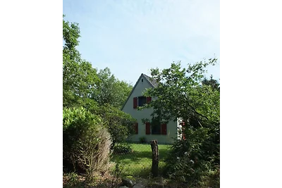 Das  außergewöhnliche Waldhaus