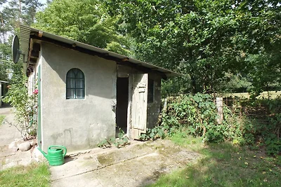 Das  außergewöhnliche Waldhaus