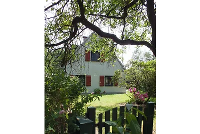 Das  außergewöhnliche Waldhaus