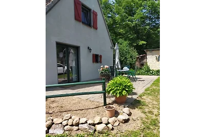 Das  außergewöhnliche Waldhaus