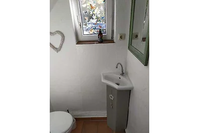 Das  außergewöhnliche Waldhaus