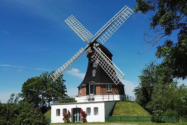 Ferienhaus Oldenswort