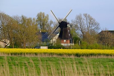 Windmühle Catharina