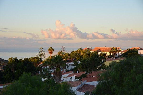 Casa Laguz in Chayofa - Frau G. Safran