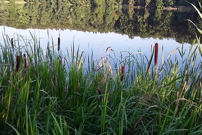 La dacia di Harnekop sul lago del castello