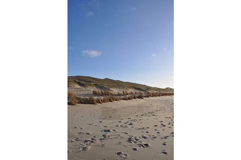 breiter Strand in Callantsoog 