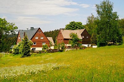 Vakantiehuis Ontspannende vakantie Rechenberg-Bienenmühle