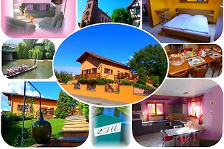 Gîte les tulipes: Wohnung / Zimmer