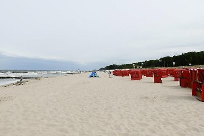 Inselhaus - Appartamento 2, Kölpinsee