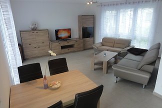 Arona 8