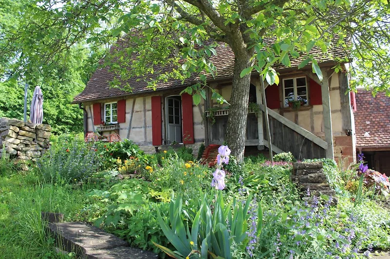 Het huis in zijn groene omgeving