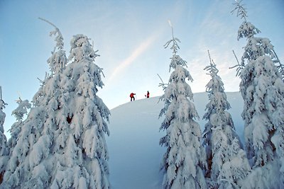 Vakantiehuis Ontspannende vakantie Winterberg