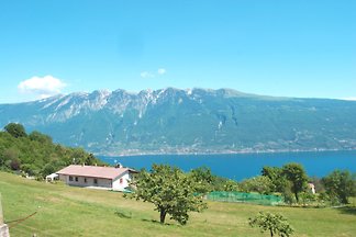 Serenella
