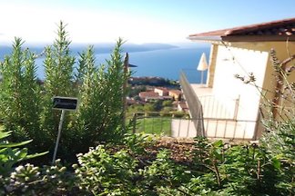 BORGO LE VIGNE L´Uva Rara