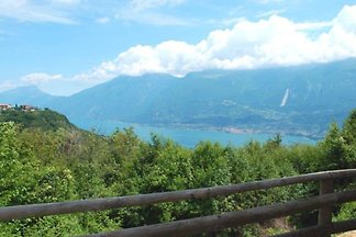 Schimmel im Untergeschoss - Vorsicht!  gesundheitsgefährdend