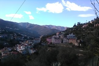 Casa Mami