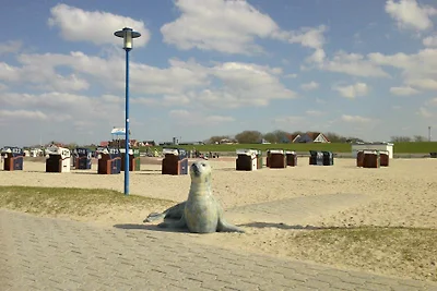 Appartamento Deichtraum 50m dalla spiaggia mare