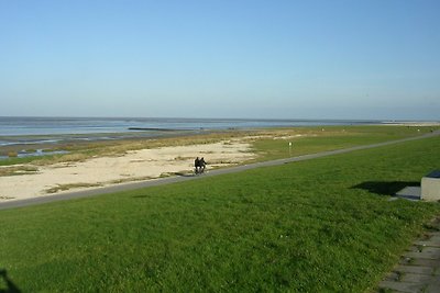 Appartement Deichtraum 50m naar het strand zee