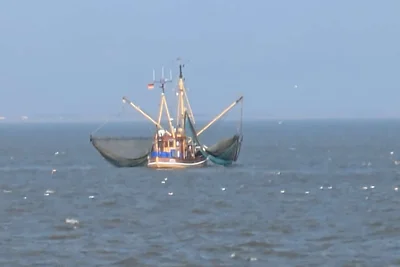 Fewo Küstentraum Erdgeschoss mit Südterasse Neuharlingersiel