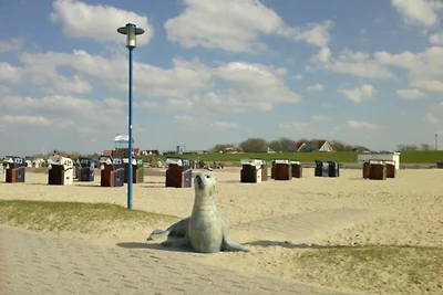 Fewo Küstentraum Erdgeschoss mit Südterasse Neuharlingersiel