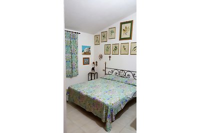 Porto Frailis, Su stampu birde