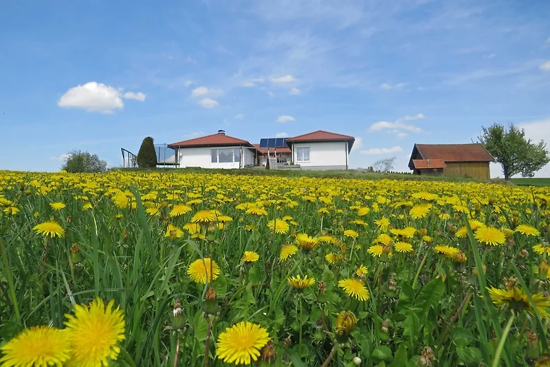 Haus Ansicht