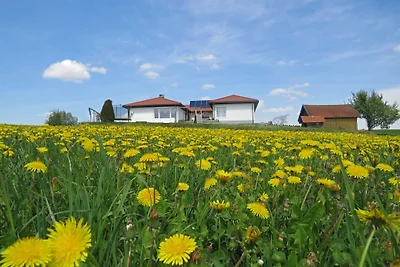 Casa vacanze Vacanza di relax Esternberg
