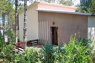 Schönes Haus am Meer im Pinienwald