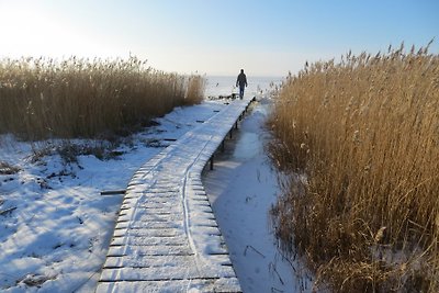 Pausa blu **** (Glowe/OT Polchow)