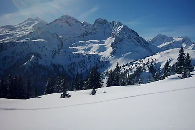 Ferienwohnung Alpenarena