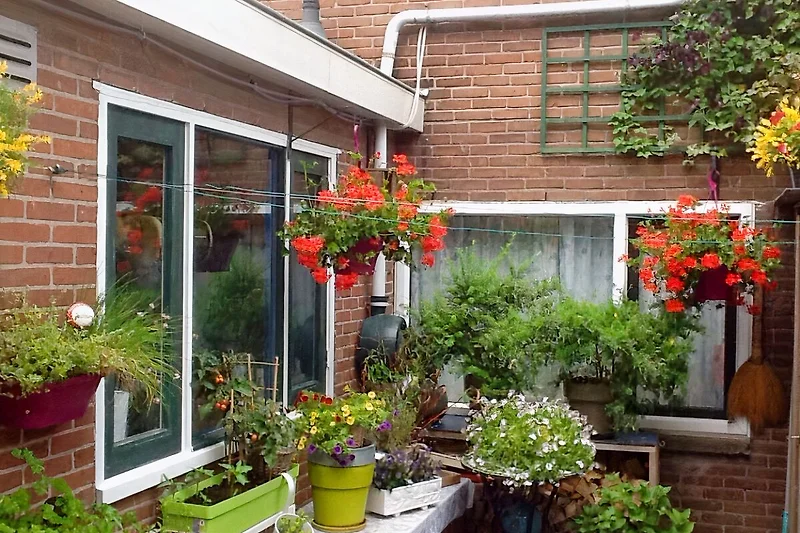 Uitzicht vanuit de keuken en de woonkamer