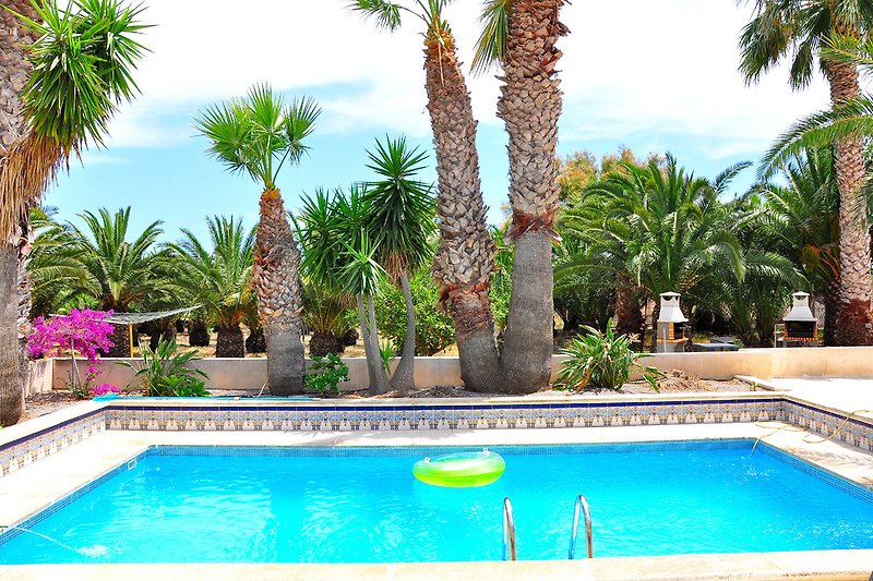 Pool im Hintergrund ist der Palmengarten und rechts die 2 BBQ