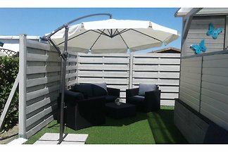 Absolut empfehlenswert