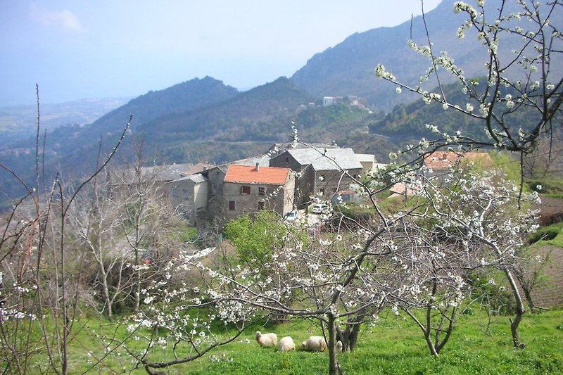 San Giovanni im Frühling