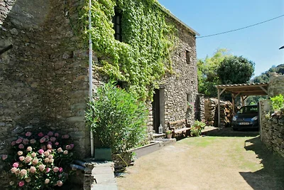 Sole e Ventu