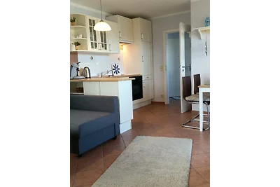 Nido di gabbiano Strada della montagna vecchia