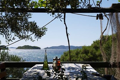 Meerblick - Dach - Apartment -Djolo