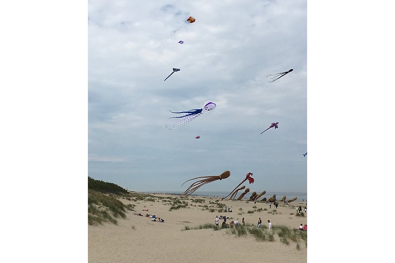Windspiele am weitläufigen Strand