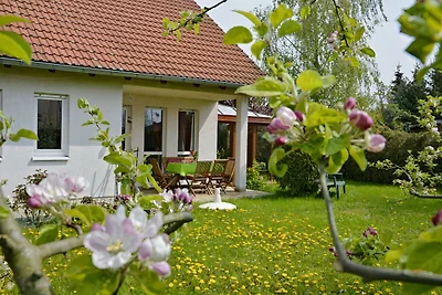 Casa di vacanza Birkwitz