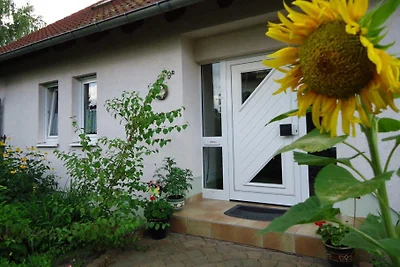 Casa di vacanza Birkwitz