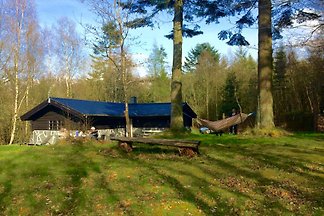 Blockhaus im Wald (Øjesø Plantage)