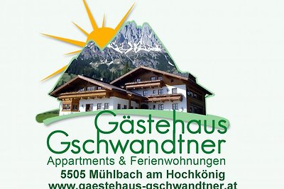 Holiday home relaxing holiday Mühlbach am Hochkönig