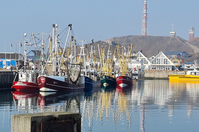 Fischerboot-Flotte im Hafen