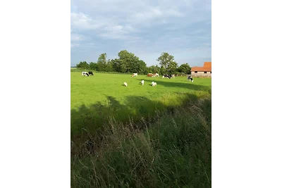 Noordzeelaan  61